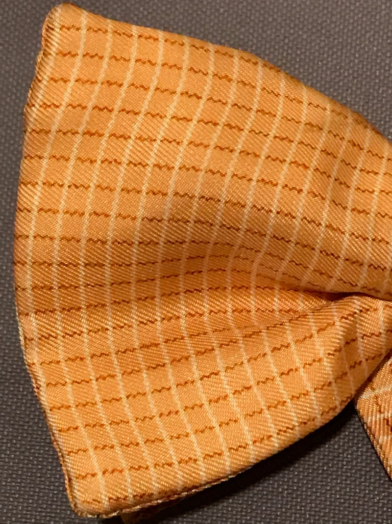 Vintage-Fliege – orange kariert