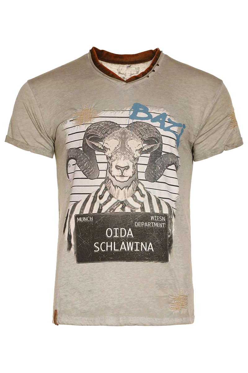Herren Trachten T-Shirt 'Oida Schlawina'