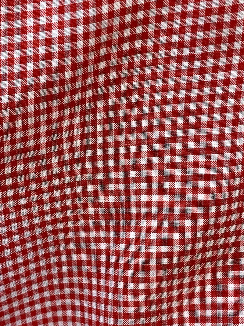 Vintage Trachtenhemd Herren Rot-Weiß Fein Kariert Gr. 42 – C&A Nil