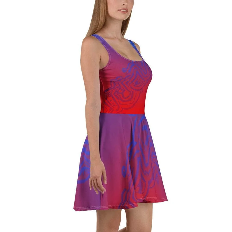 Radiant Red & Blue Skater Dress