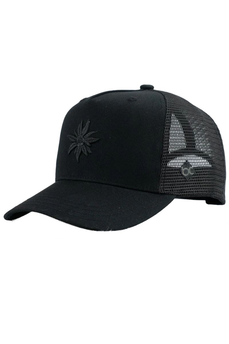 Curved Cap Edwelweiß Black Edition